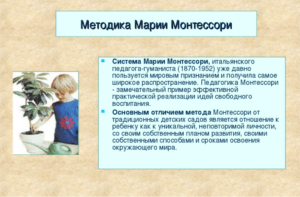 Иллюстрация к статье «Как создать дома развивающую среду для ребенка? Монтессори-методика»