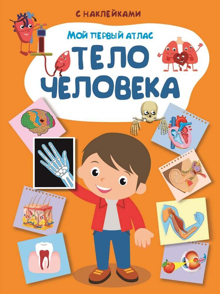 Мой первый атлас. Тело человека