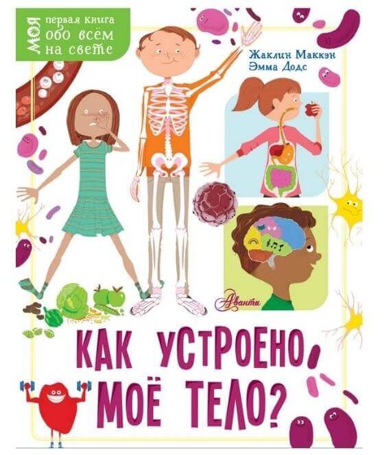Как устроено моё тело?