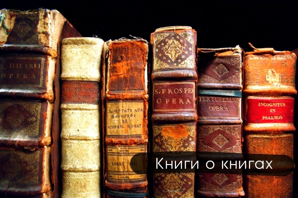 Книги о книгах с увлекательными историями