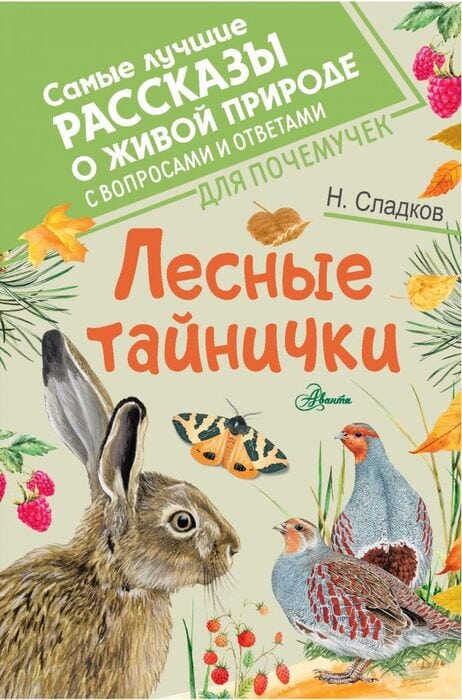 Сладков Н. «Лесные тайнички»