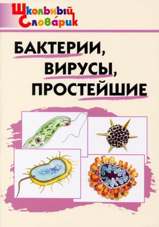 Бактерии, вирусы, простейшие
