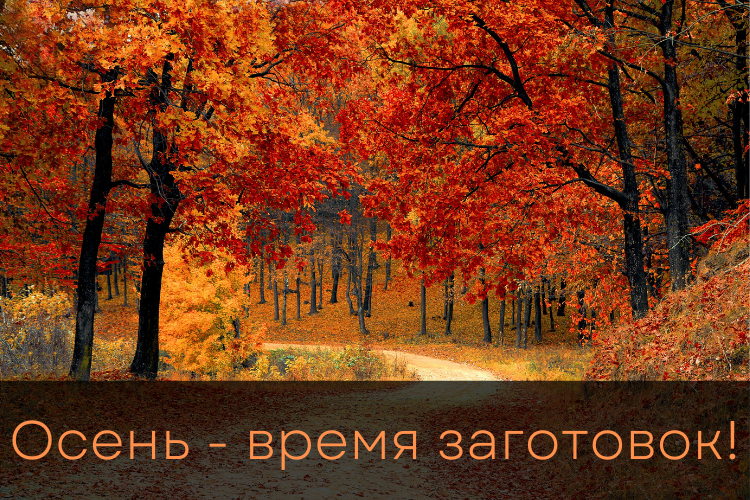 Осень — время заготавливать и консервировать