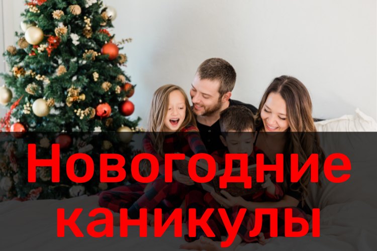 Новогодние каникулы
