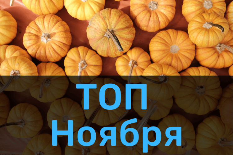 ТОП Ноября