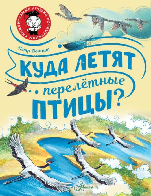 Куда летят перелётные птицы