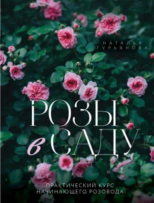 Розы в саду