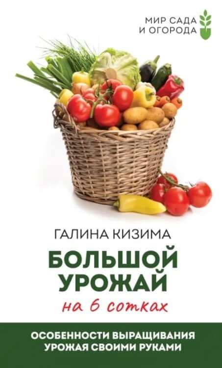 Большой урожай на 6 сотках