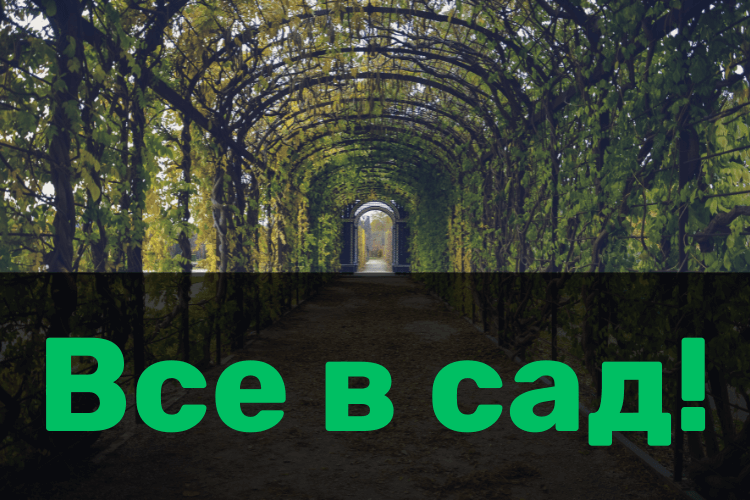 Все в сад!