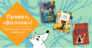 Знакомьтесь с «Волчком»!