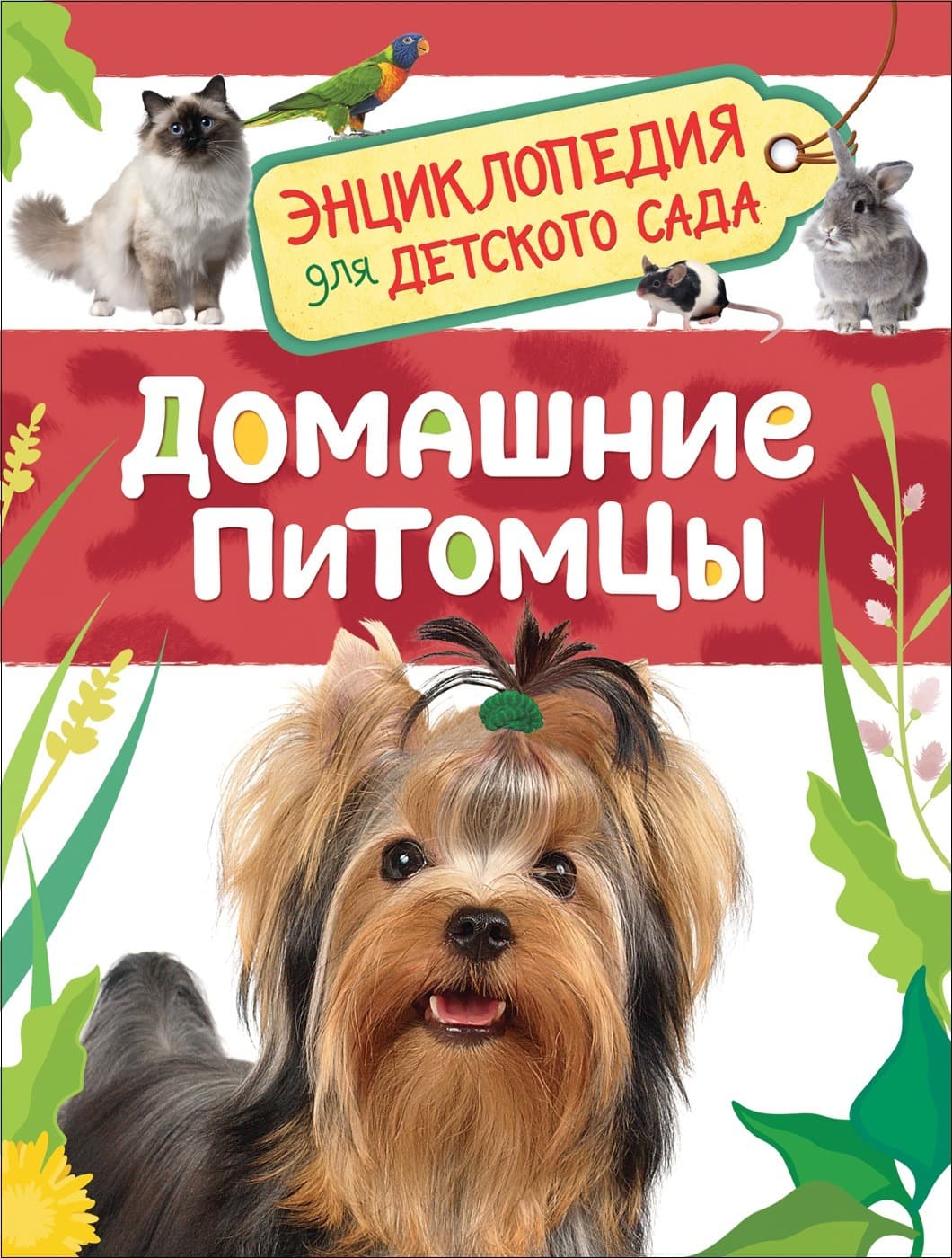 Обложка энциклопедии Домашние питомцы для детского сада