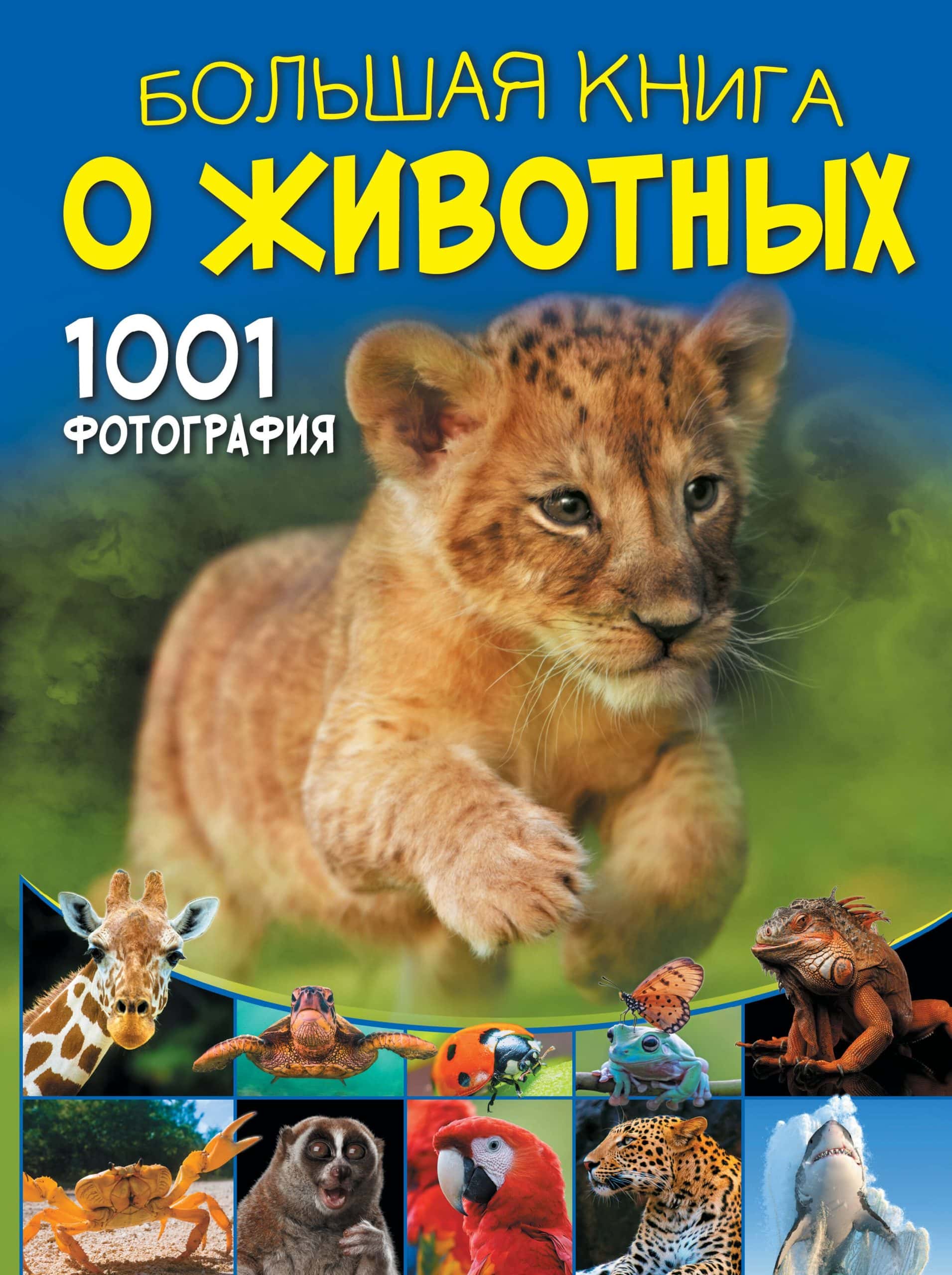 Обложка книги Большая книга о животных. 1001 фотография