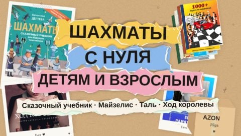 Как научиться играть в шахматы: 8 книг