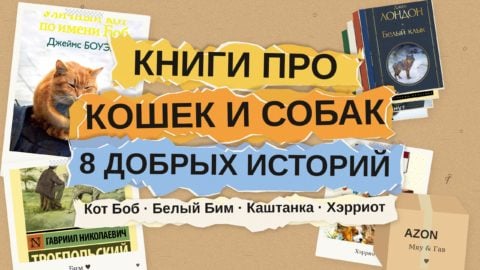 Книги про кошек и собак: 8 историй,