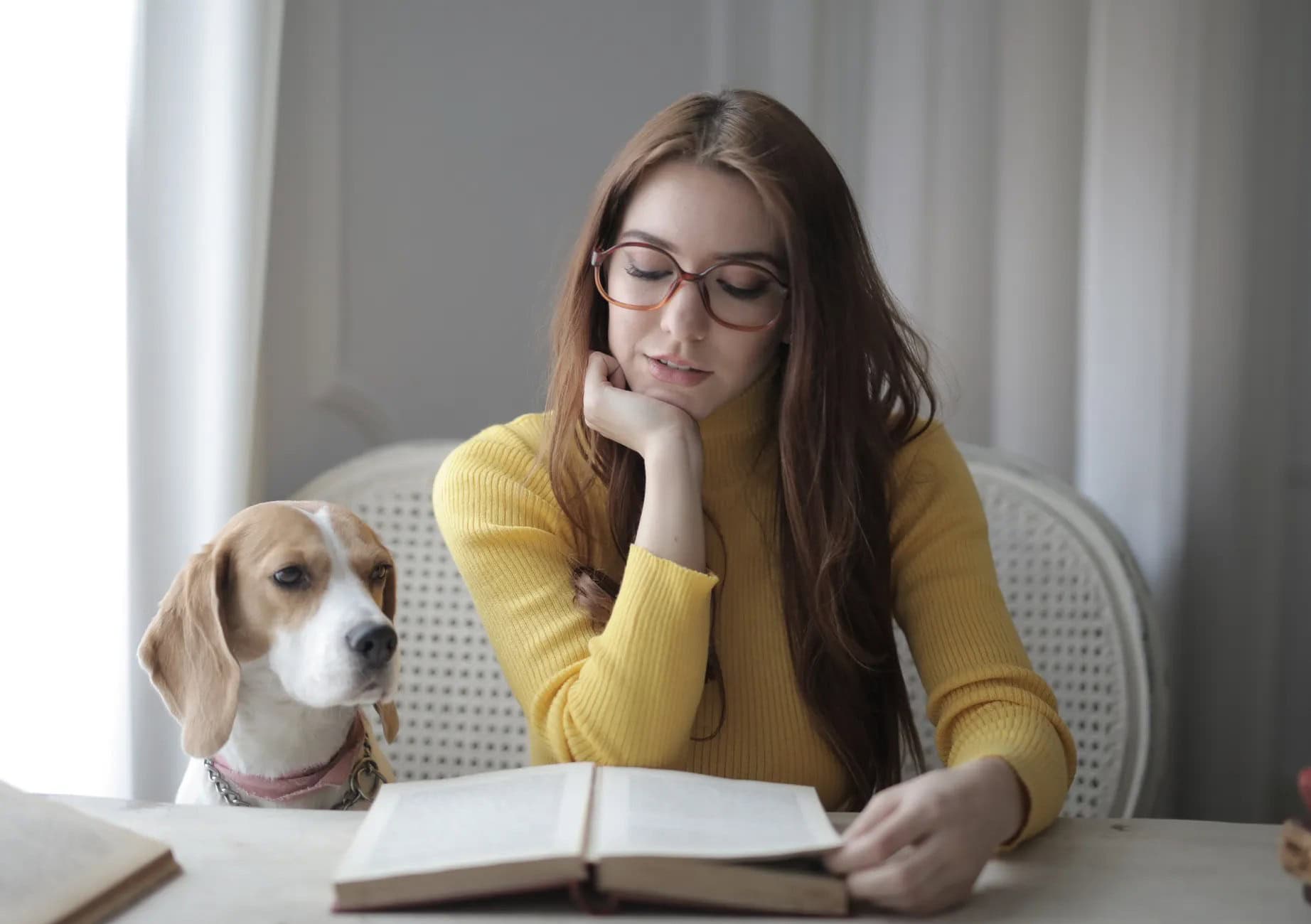 Иллюстрация как выбрать здорового щенка собаки по книге