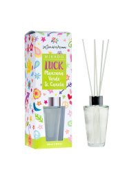 Luck Green Apple &amp; Cinnamon Conical Mikado 100ml