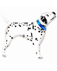 DALMATIAN ФОЛЬГА ВОЗДУШНЫЙ ШАР 95 CM