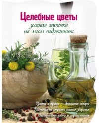 Целебные цветы. Зеленая аптечка на моем подоконнике / Васильев М.