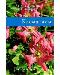 Клематисы