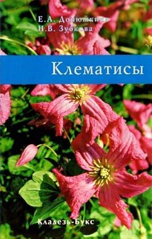 Клематисы