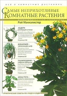 Самые неприхотливые комнатные растения / 