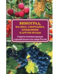 Виноград, малина, смородина, крыжовник и другие ягоды / Жвакин В.В.