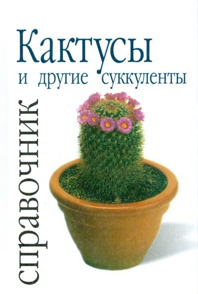 Кактусы и другие суккуленты