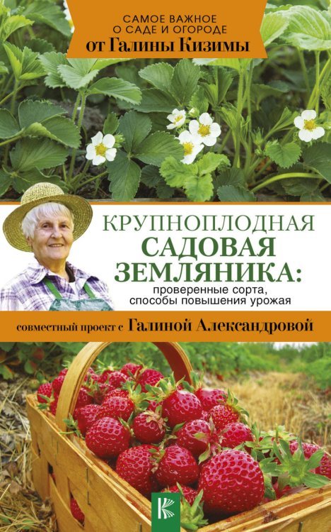 Крупноплодная садовая земляника: проверенные сорта, способы повышения урожая 