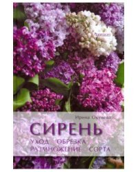 Сирень. Уход, обрезка, размножение, сорта 