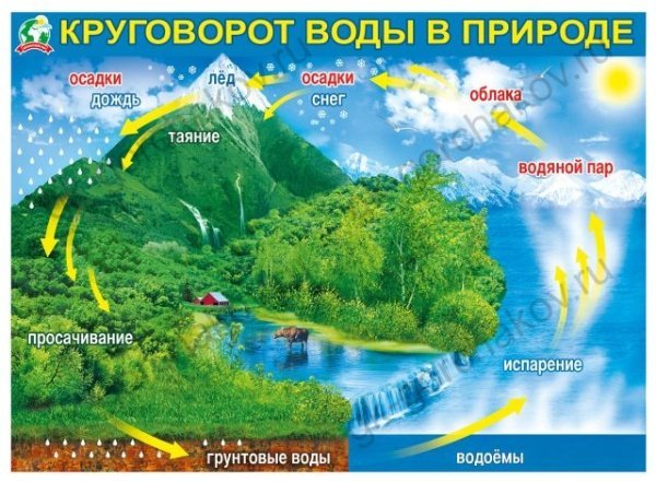 Плакат "Круговорот воды в природе"