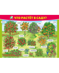 Плакат "Что растёт в саду"