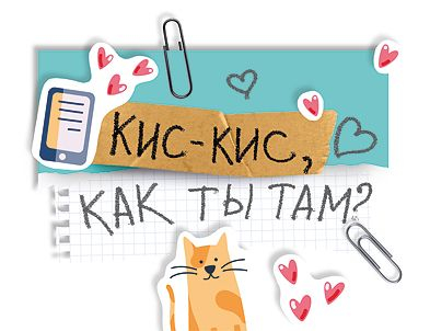 Открытка-отношение "Кис-кис, как ты там?"