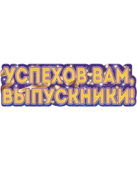 Плакат-полоска "Успехов Вам, Выпускники!"