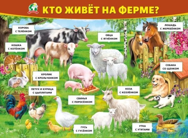 Плакат "Кто живет на ферме "