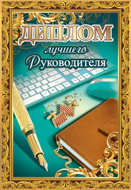 Диплом лучшего руководителя