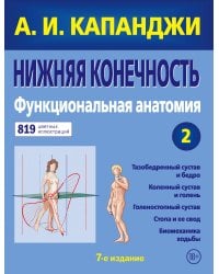 Нижняя конечность: Функциональная анатомия (обновленное издание)