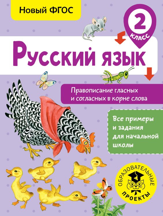 Русский язык. 2 класс. Правописание гласных и согласных в корне слова. ФГОС