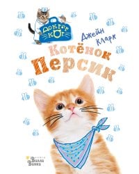 Котёнок Персик