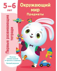 Окружающий мир. Предметы. 5-6 лет