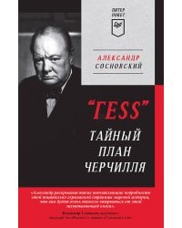 "ГESS" Тайный план Черчилля (Питер покет)