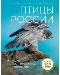 Птицы России. Большая иллюстрированная энциклопедия