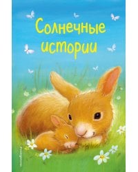 Солнечные истории (выпуск 3)