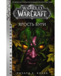 World of Warcraft. Ярость Бури