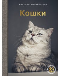 Кошки