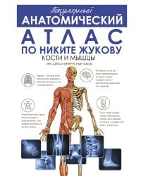 Популярный анатомический атлас по Никите Жукову: кости и мышцы. Инсайты и интересные факты