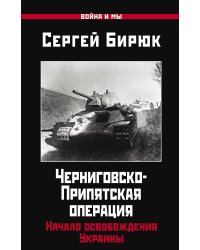 Черниговско-Припятская операция: Начало освобождения Украины