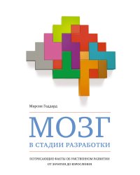 Мозг в стадии разработки. Потрясающие факты об умственном развитии от зачатия до взросления