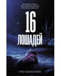 16 лошадей