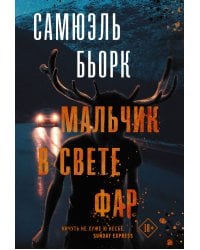 Мальчик в свете фар