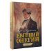 Евгений Онегин. Графический роман